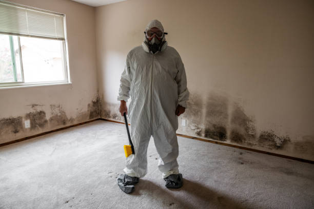 Best Best Mold Removal Companies  in Marshall, MI